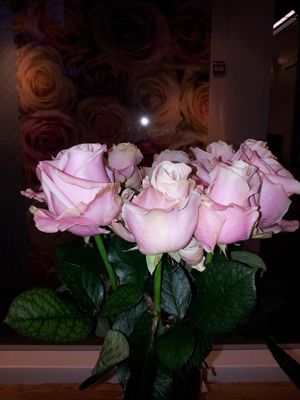 Foto 73 uit NeelyshaBloemen