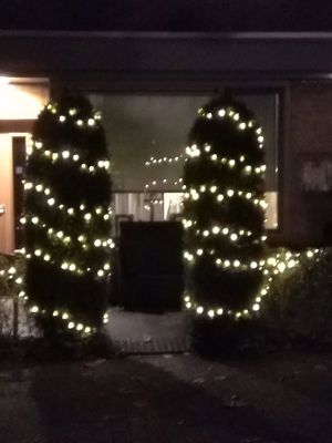 Foto 4 uit Kerst In Beverwaard_2