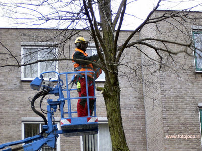 Foto 948 uit WcBeverwVerbouwing