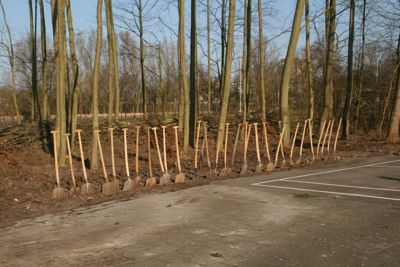 Foto 6 uit Boomplantdag16-3