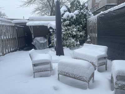 Foto 29 uit X- Sneeuw in de Beverwaard 2026