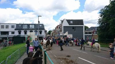 Foto 99 uit Paardenmarkt29-6