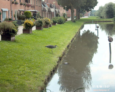 Foto 550 uit StratenBEVERWAARD