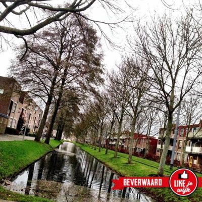 Foto 21 uit LIKEJEWIJK FOTO'S