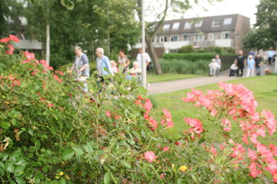 Foto 257 uit Ouderen4Daagse2017