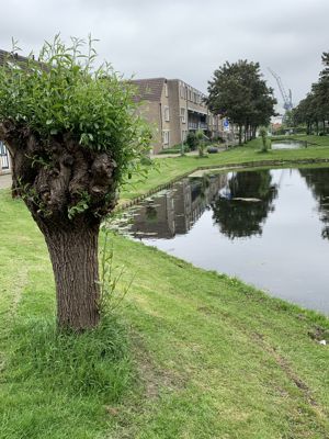 Foto 51 uit Rondje Beverwaard 2026