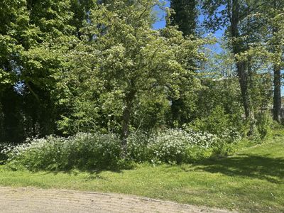 Foto 218 uit Rondje Beverwaard 2026