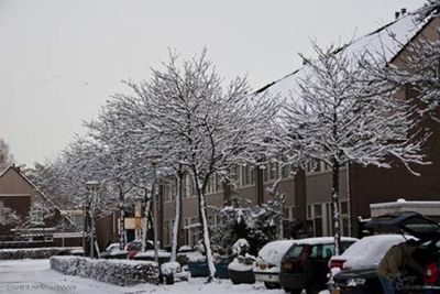 Foto 117 uit Foto's Beverwaard