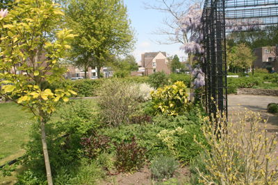 Foto 291 uit TropischeTuin 2017