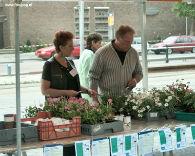 Foto 28 uit wijkfeest de dijk new