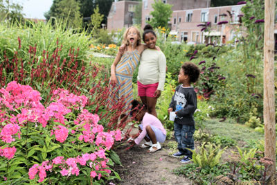 Foto 81 uit TropischeTuin 2017