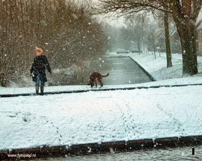 Foto 172 uit WinterIn Beverwaard