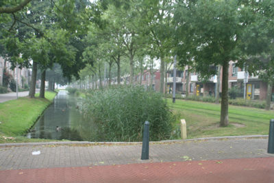 Foto 362 uit StratenBEVERWAARD