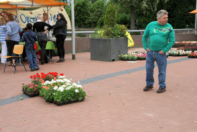 Foto 82 uit OpzoomerenPlantjes