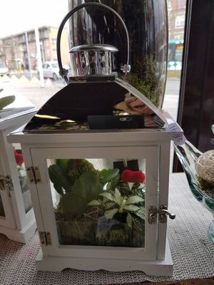 Foto 343 uit NeelyshaBloemen