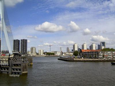 Foto 49 uit red bull air race r.dam