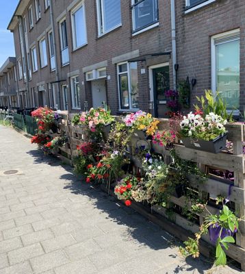 Foto 40 uit Lente En Zomer 2022