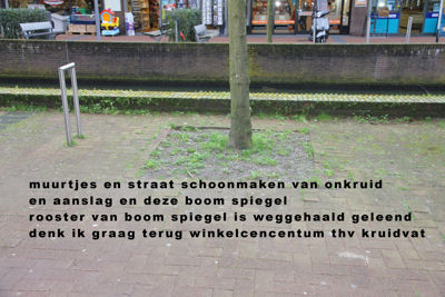 Foto 15 uit WinkelcentrumSchade