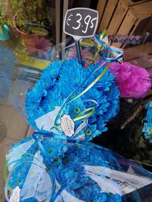 Foto 255 uit NeelyshaBloemen