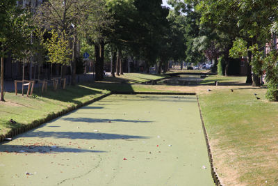 Foto 20 uit MooisUitBeverwaard