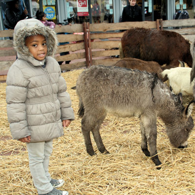 Foto 43 uit Sinterklaas 2009B.W