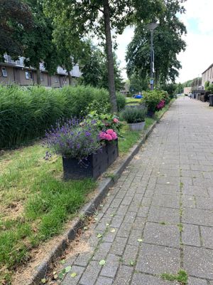 Foto 295 uit Rondje Beverwaard 2026