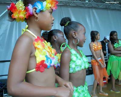 Foto 84 uit carnaval2008beverw