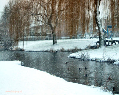 Foto 164 uit WinterIn Beverwaard