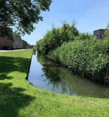 Foto 350 uit Rondje Beverwaard 2026