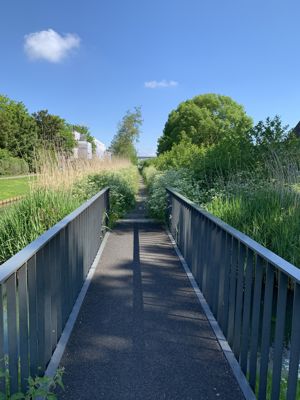 Foto 40 uit Rondje Beverwaard 2026