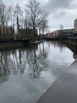 Foto 464 uit Rondje Beverwaard 2026