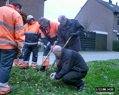Foto 46 uit bloembollen planten