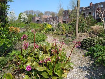 Foto 280 uit TropischeTuin 2017