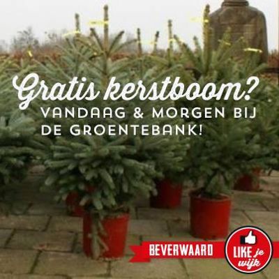 Foto 4 uit KERST BEVERWAARD