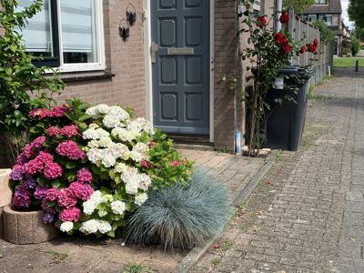 Foto 298 uit Rondje Beverwaard 2026