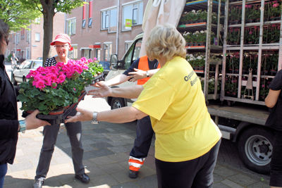 Foto 16 uit Opzoomeren20-05