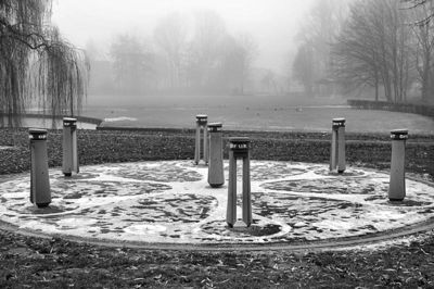 Foto 34 uit Herfst In Beverwaard