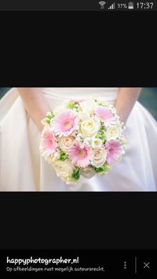 Foto 118 uit NeelyshaBloemen