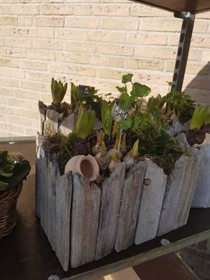 Foto 17 uit NeelyshaNieuweZaak