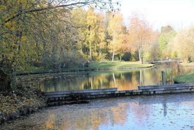 Foto 80 uit X-Herfst Verschillende jaren  2026