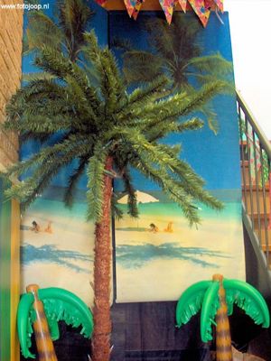 Foto 22 uit Kiddoozzkinderopvang