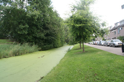 Foto 147 uit StratenBEVERWAARD