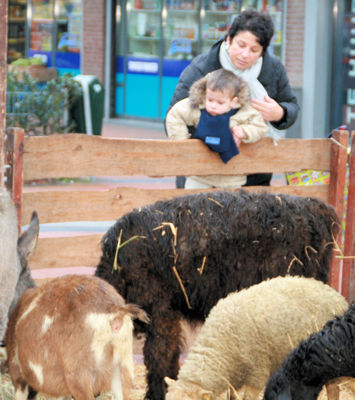 Foto 19 uit Sinterklaas 2009B.W