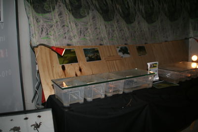 Foto 58 uit HaLLoWeeN29_10_11