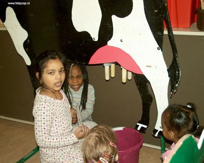 Foto 29 uit rkregenboog30_1-08