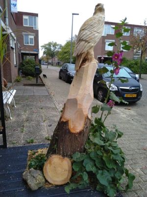 Foto 6 uit 2019 KunsT Arend