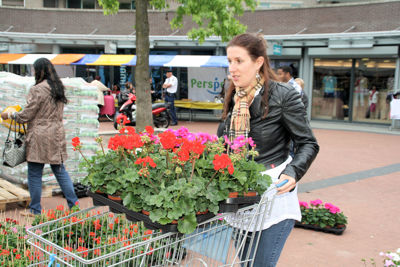 Foto 92 uit OpzoomerenPlantjes