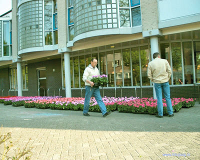 Foto 9 uit Opzoomeren 07 bw