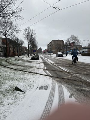 Foto 3 uit X- Sneeuw in de Beverwaard 2026