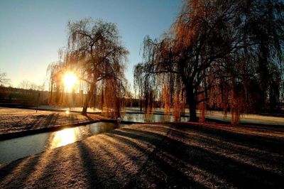 Foto 68 uit Herfst In Beverwaard